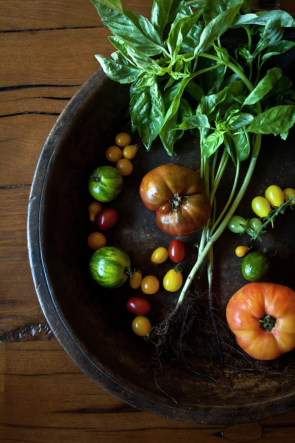 Heirloom Tomatoes And Fresh Basil In A Photograph by Kelly Sterling Photography