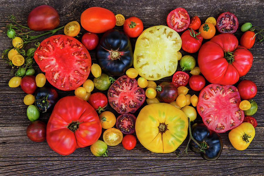 Heirloom Tomatoes Photograph by Mircea Costina Photography