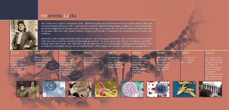 Hela Timeline, Infographic Photograph by Science Source