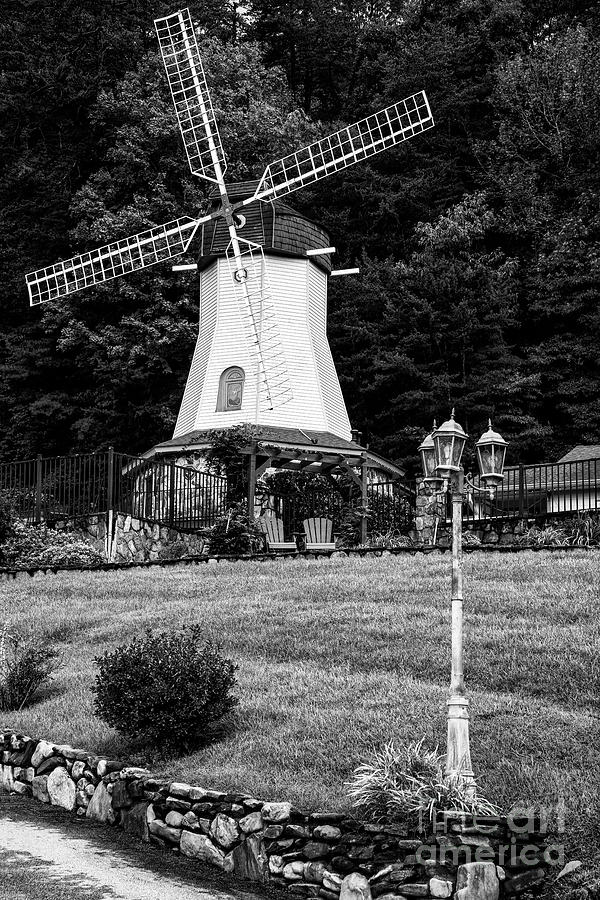 Tree Photograph - Helen Windmill 2 by Bob Phillips