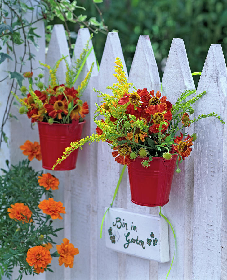 Helenium, Solidago In Small Red Buckets Photograph by Friedrich Strauss