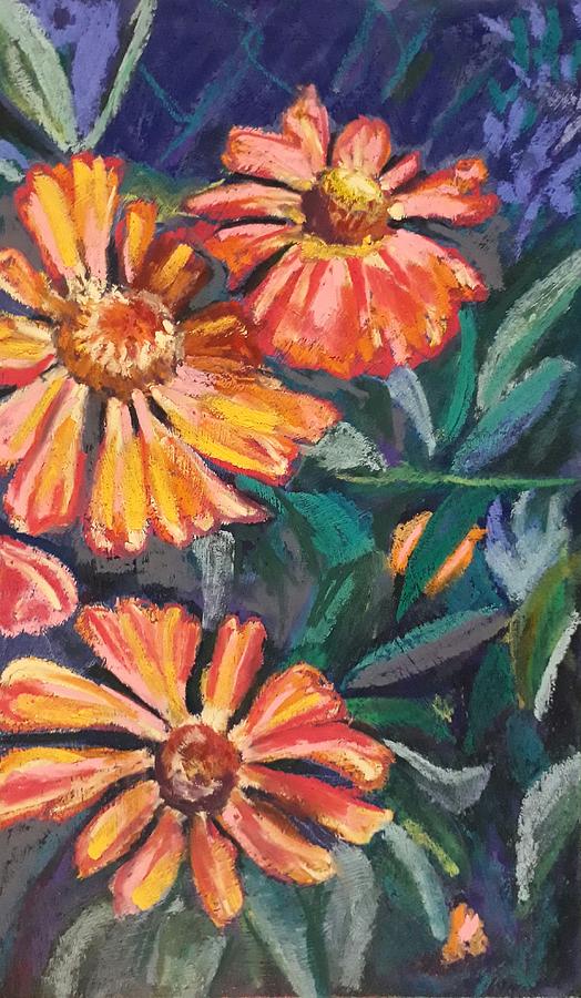 Heleniums by Jacqui Simpson Heleniums by Jacqui Simpson