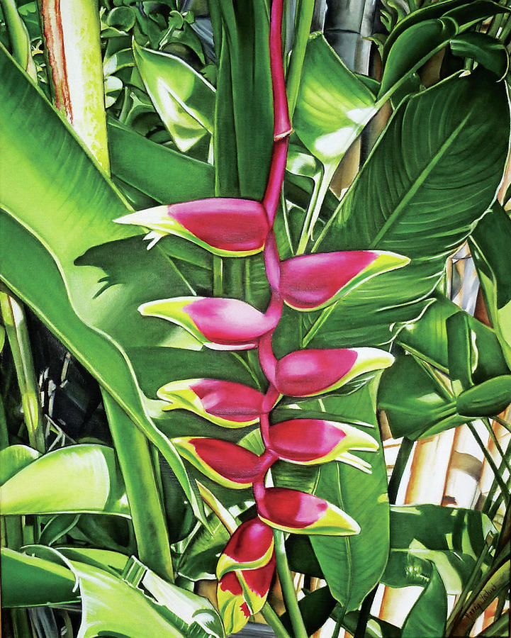 heliconia painting