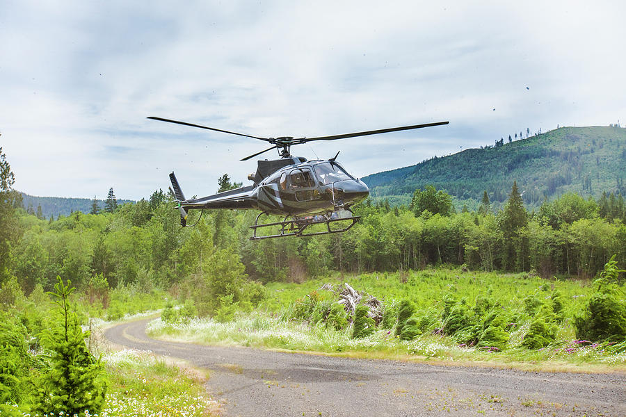 Nature Photograph - Helicopter Landing On Gravel Road In The Forest. by Cavan Images