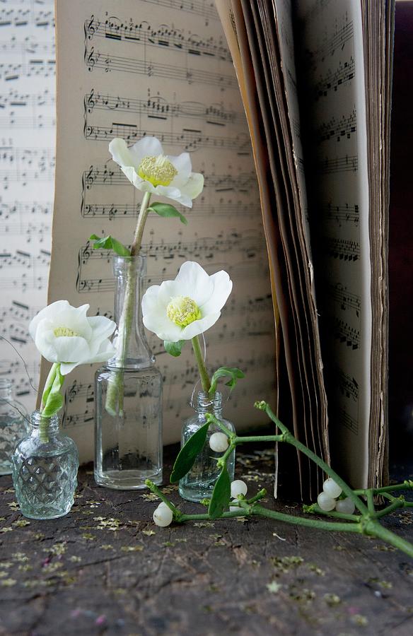 Hellebores In Small Glass Bottles In Front Of Sheet Music Photograph by Martina Schindler