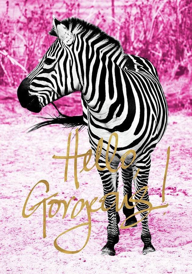 Animal Painting - Hello Gorgeous Zebra by Gail Peck