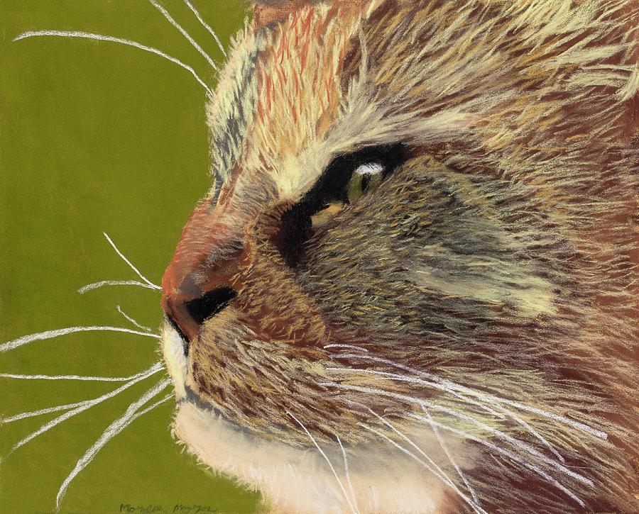 Cat Painting - Hello by Marcella Morse
