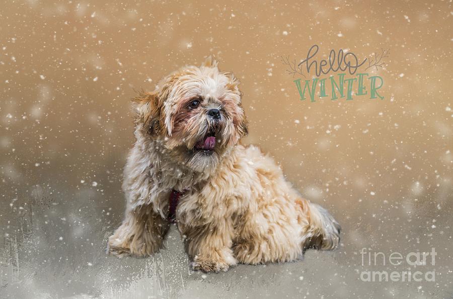Hello Winter Mixed Media by Eva Lechner