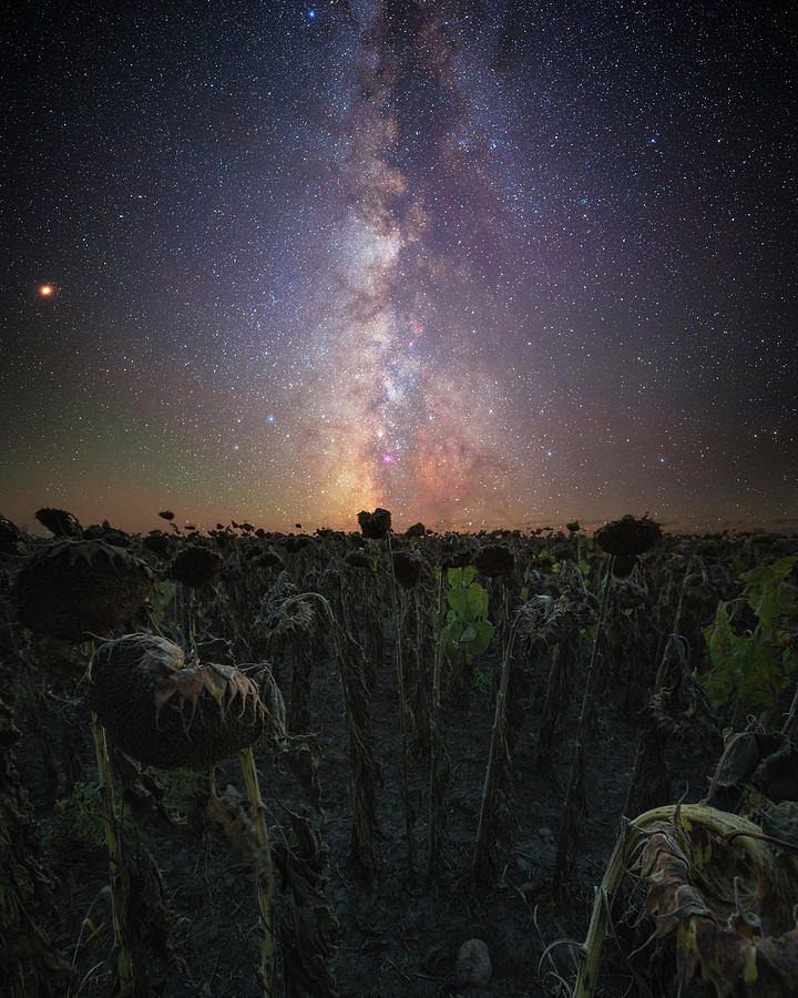 Hello,My name is Human Photograph by Aaron J Groen