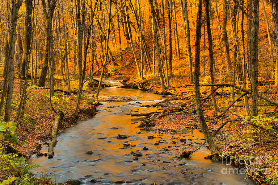 Hells Hollow Fall Foliage Photograph by Adam Jewell