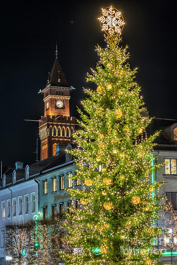 Helsingborg Christmas Tree Photograph by Antony McAulay