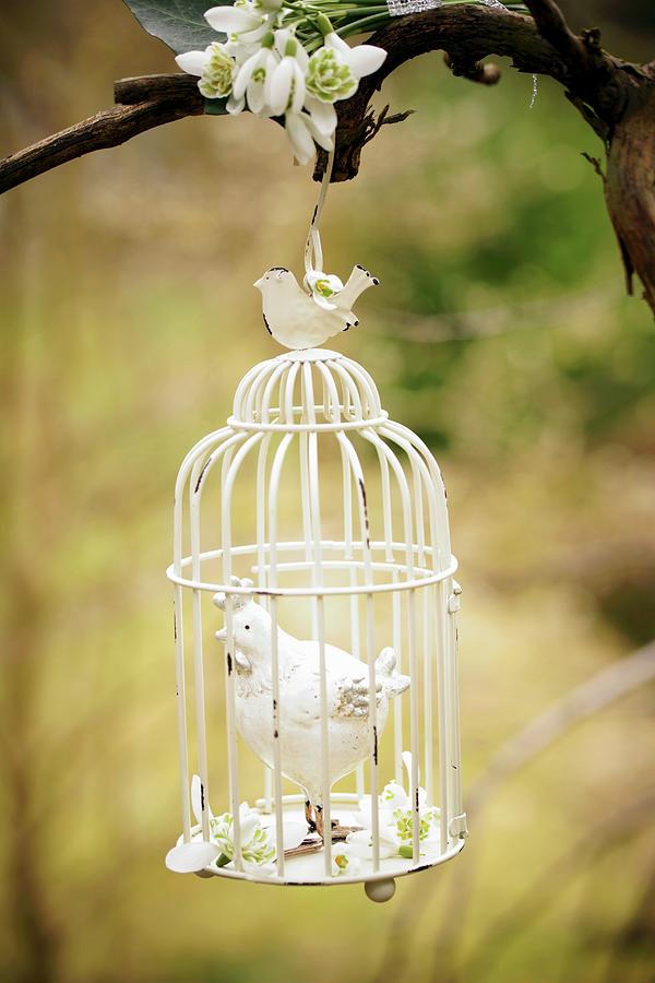 Hen Ornament In Nostalgic Birdcage & Snowdrops Hanging From Tree Photograph by Angelica Linnhoff
