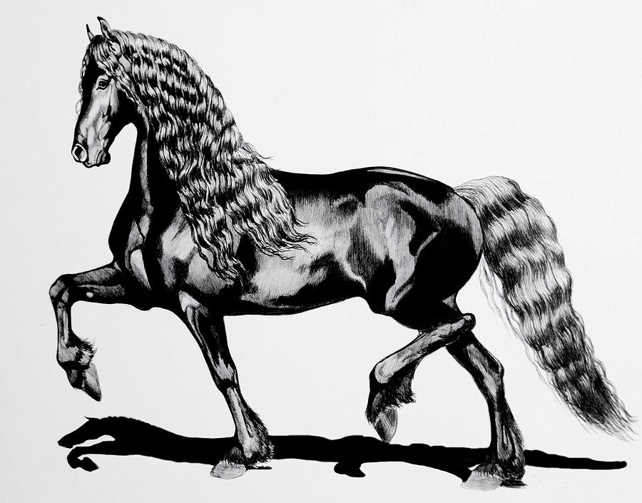 Horse Drawing - Hendricka by Cheryl Poland