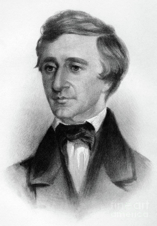 Henry David Thoreau Drawing by Samuel Worcester Rowse