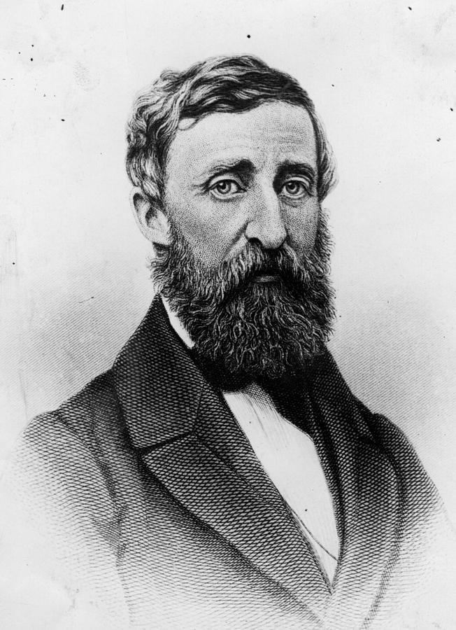 Henry Thoreau Photograph by Hulton Archive
