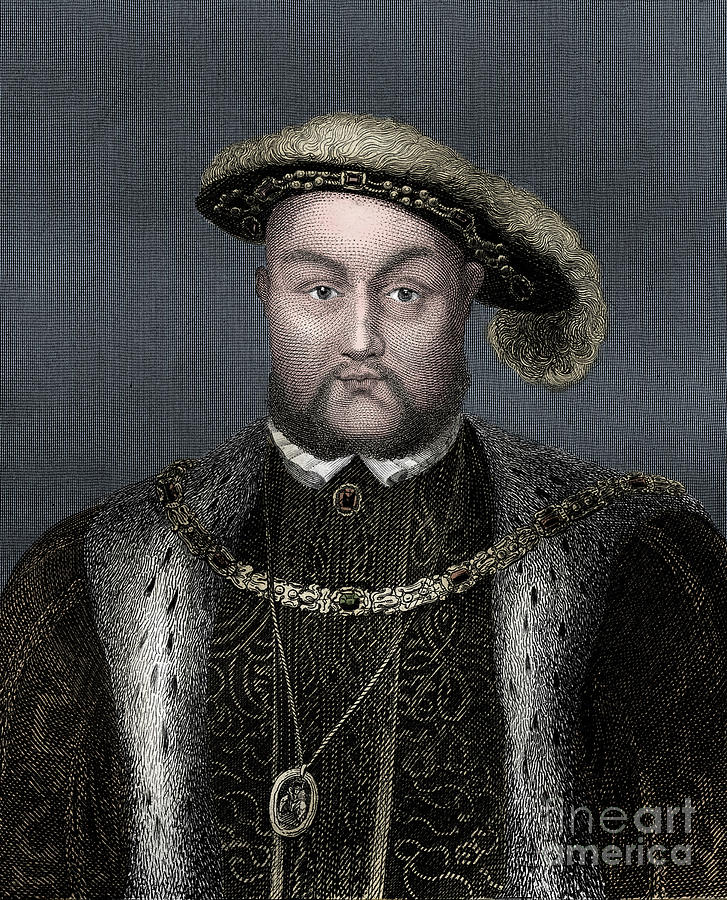 Vintage Drawing - Henry Viii by English School