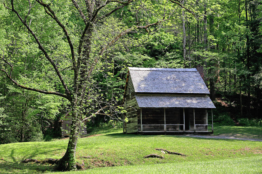 Henry Whitehead Cabin Photograph by Nicholas Blackwell