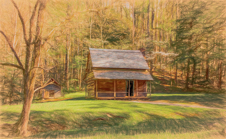 Henry Whitehead Cabin, Painterly Photograph by Marcy Wielfaert
