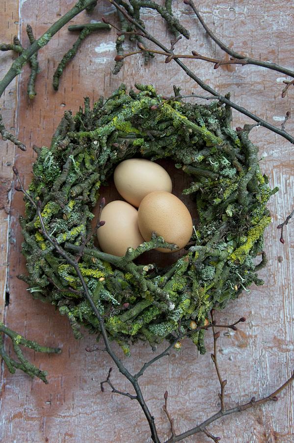 Hens Eggs In Easter Nest Of Apple Tree Twigs Photograph by Martina Schindler