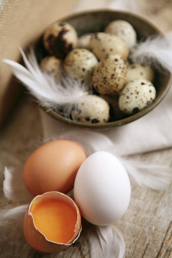 Hens Eggs, Quails Eggs And Feathers Photograph by Viola Cajo