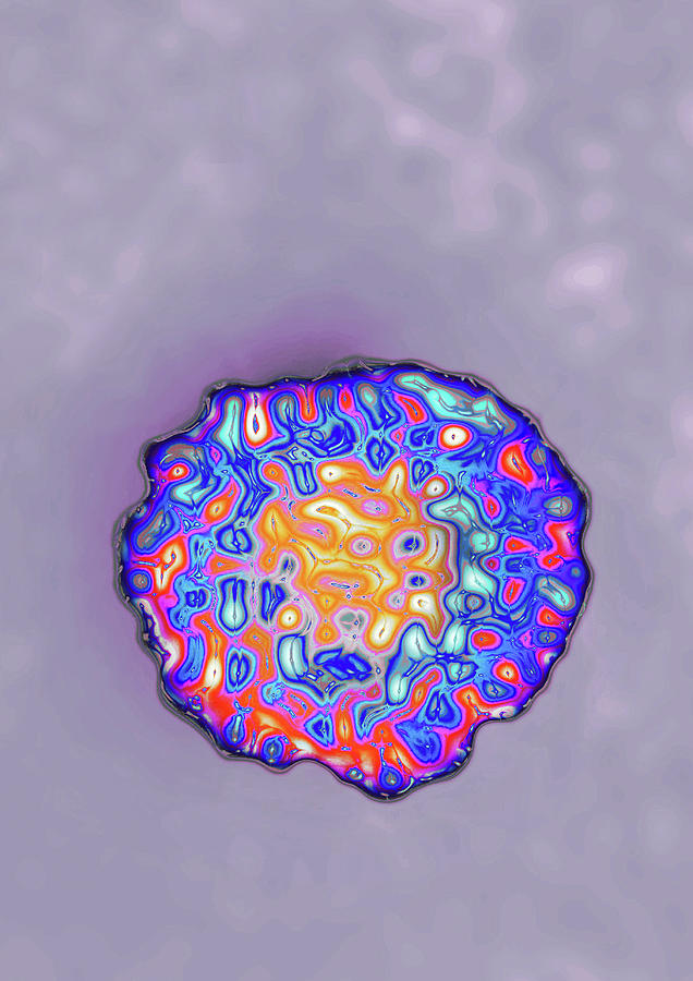 Hepatitis C Virus, Tem Photograph by James Cavallini