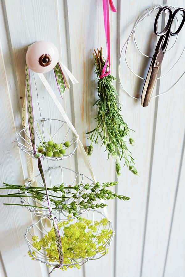 Herb Flowers In Tiered Hanging Basket Hand-crafted From Aluminium Wire Photograph by Studio27neun