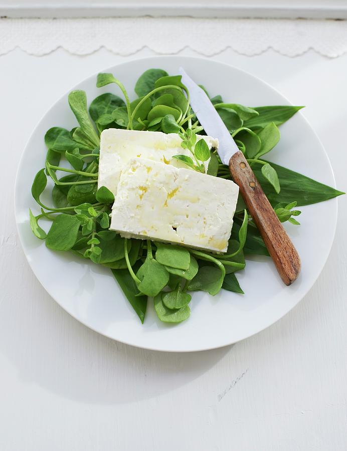 Herb Salad With Feta And Olive Oil Photograph by Hannah Kompanik