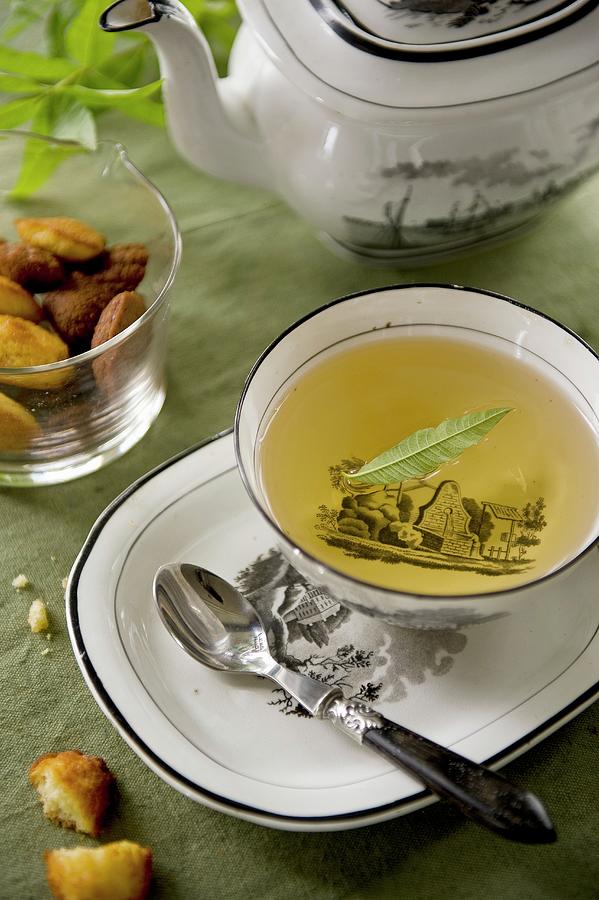Herbal Tea With Verbena And Madeleines Photograph by Frederic Vasseur