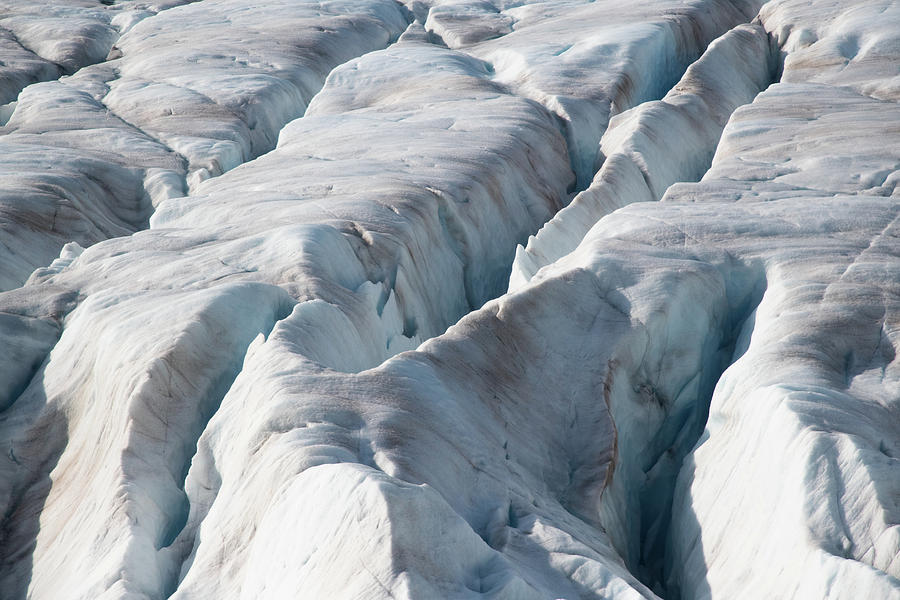 Herbert Glacier Photograph by Lynda Fowler