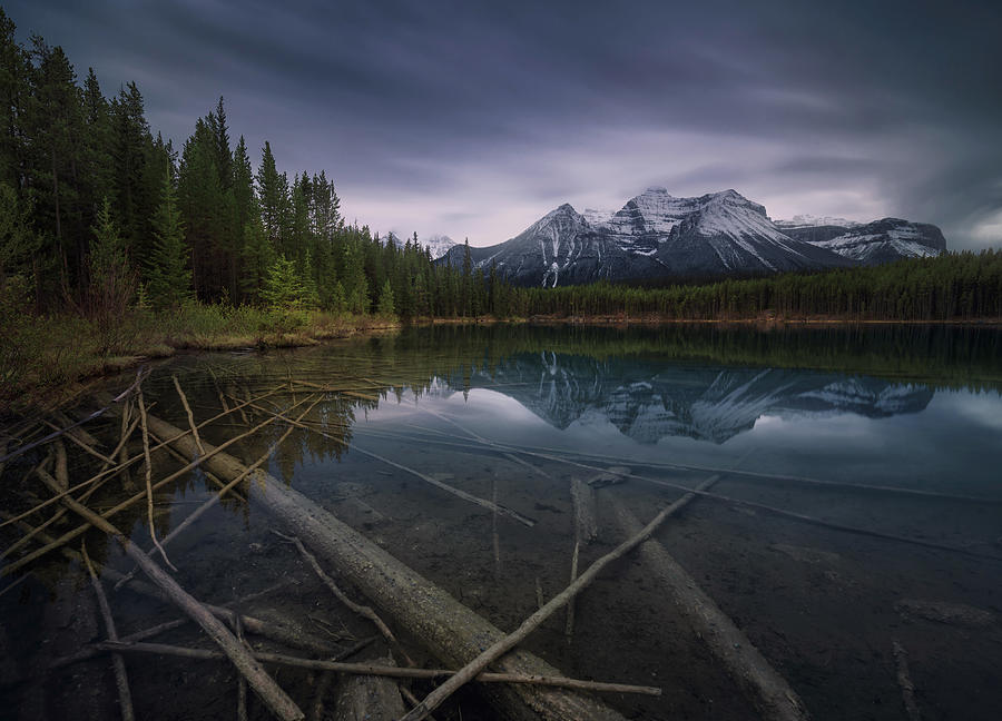 Banff National Park Photograph - Herbert Lake by Juan Pablo De Miguel