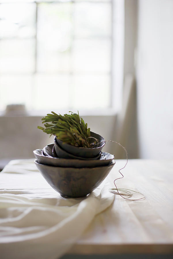 Herbs In Black Bowls Photograph by Alicja Koll