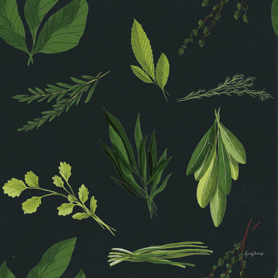 Pattern Painting - Herbs Pattern Ib by Becky Thorns