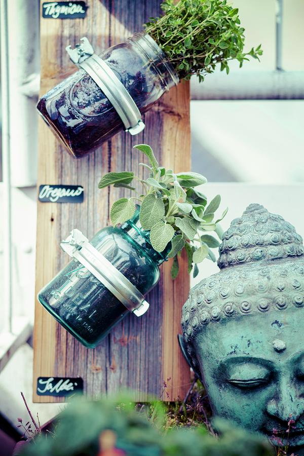 Herbs Planted In Mason Jars Attached To Wooden Board Next To Head Of Buddha Photograph by Eising Studio - Food Photo & Video