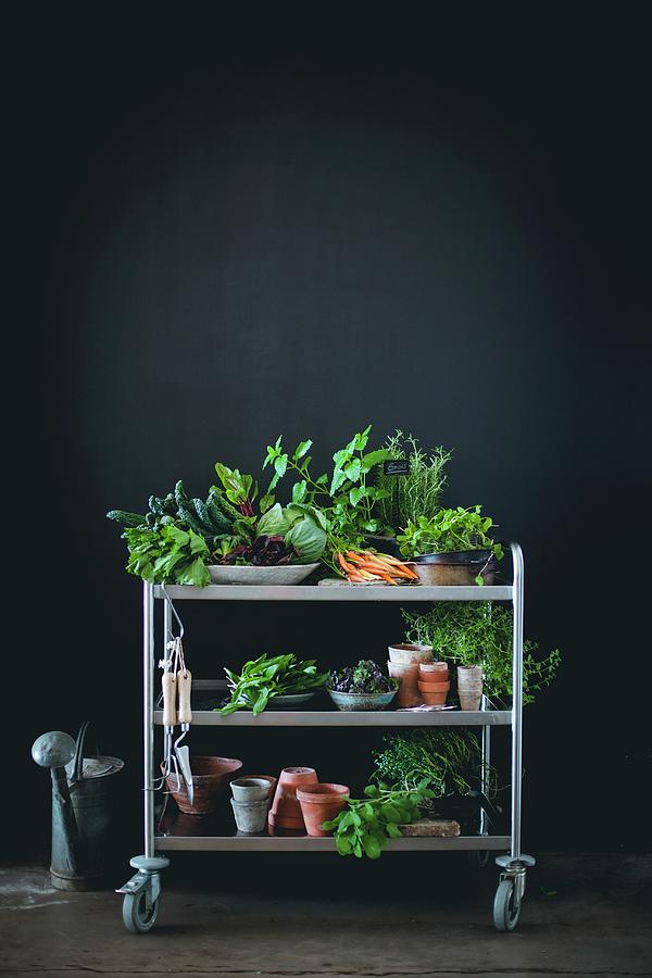 Herbs, Vegetables And Garden Tools And Accessories On A Trolley Photograph by Eising Studio
