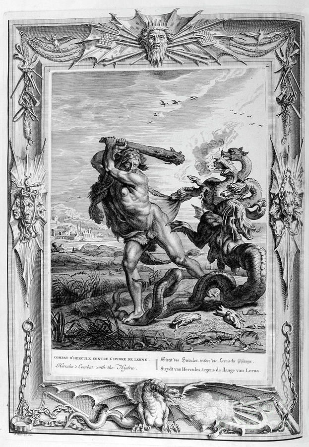 Hercules Fights The Lernian Hydra by Print Collector