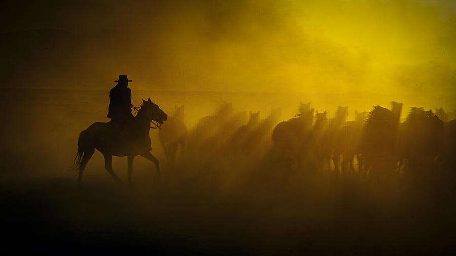 Herd And Cowboy Photograph by Zhd Bilgin
