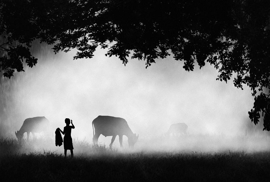 Herding. Photograph by Djeff Act