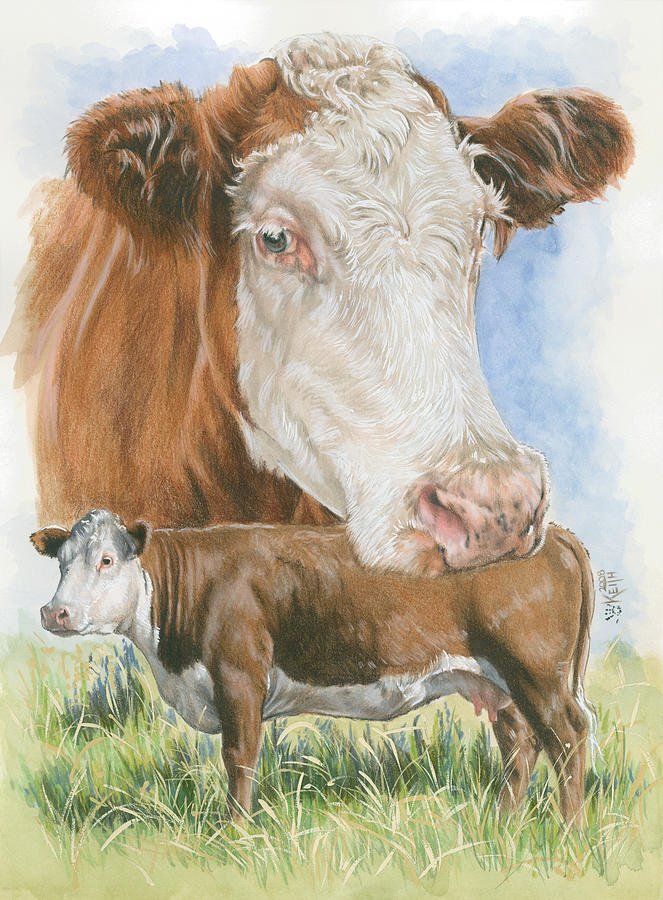 Hereford Painting by Barbara Keith