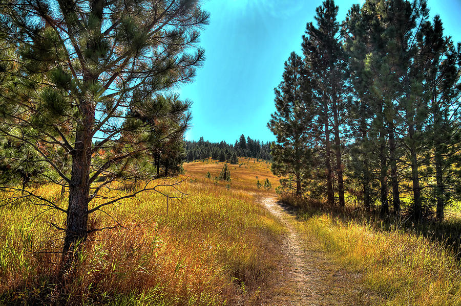 Heritage Trail by David Patterson Heritage Trail by David Patterson