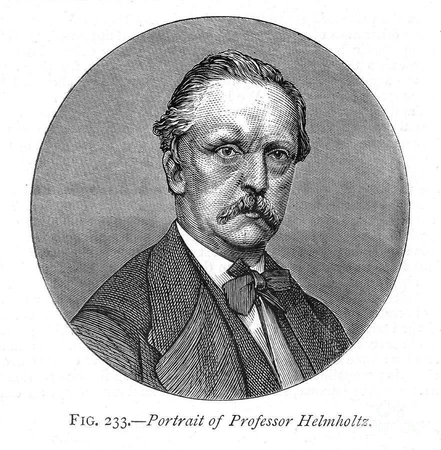 Hermann Von Helmholtz 1821-1894, German Drawing by Print Collector