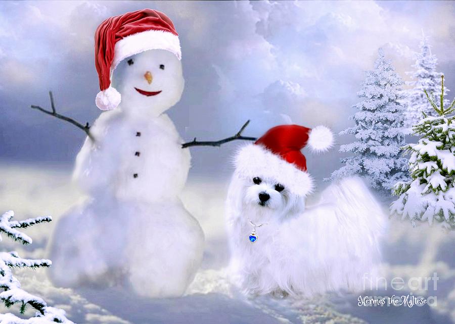Hermes and Snowman by Morag Bates Hermes and Snowman by Morag Bates