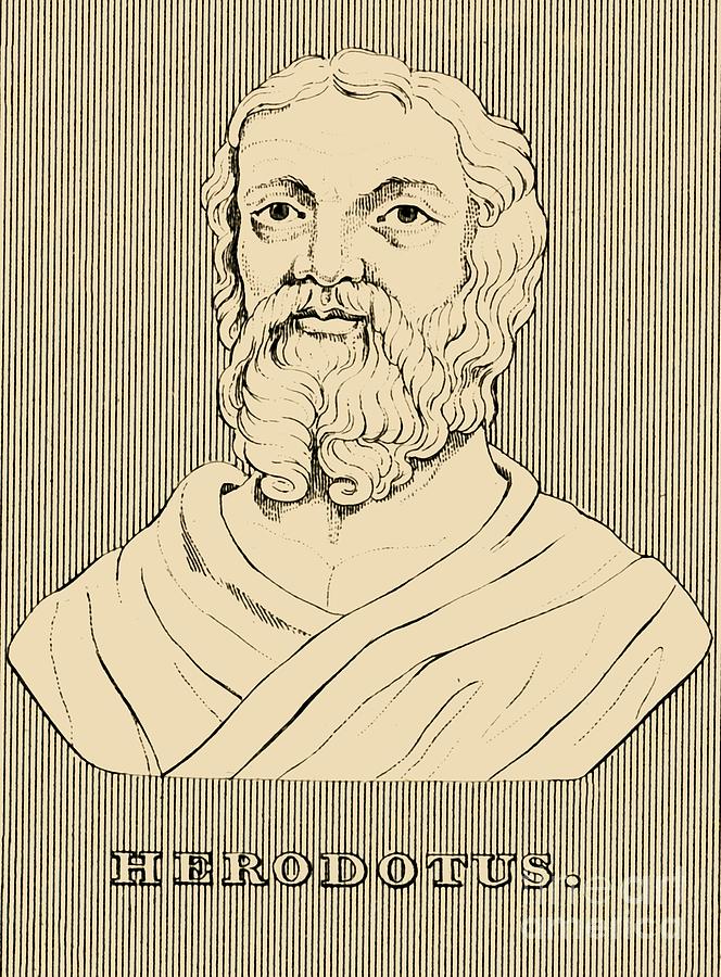 Herodotus Drawing by Print Collector