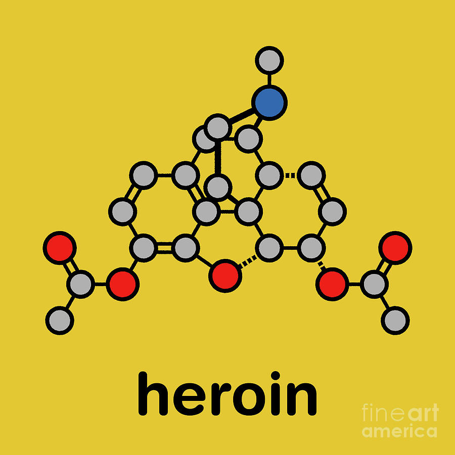 Poppy Photograph - Heroin Opioid Drug Molecule by Molekuul/science Photo Library