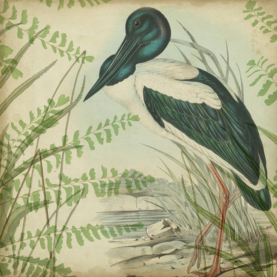 Animal Painting - Heron & Ferns I by Vision Studio