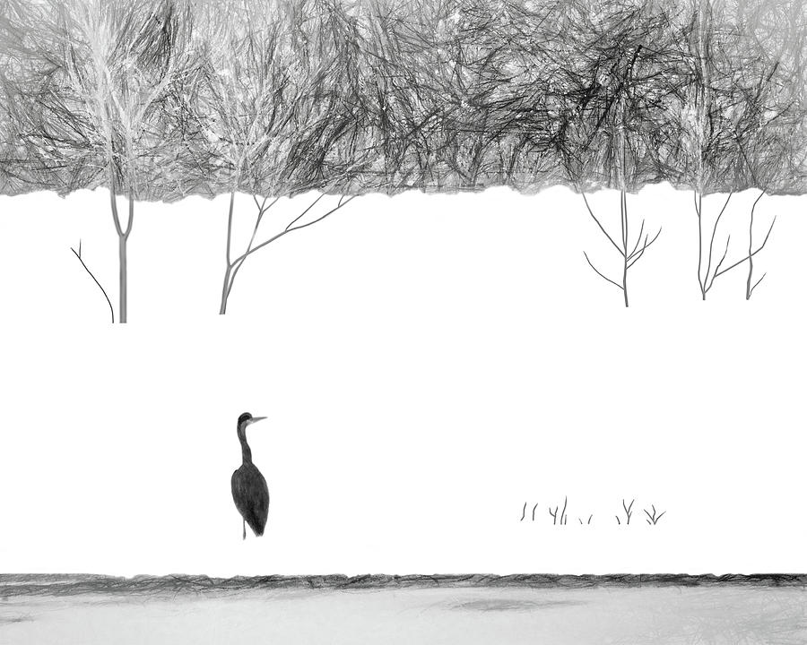 Heron in the Snow Photograph by Nikolyn McDonald