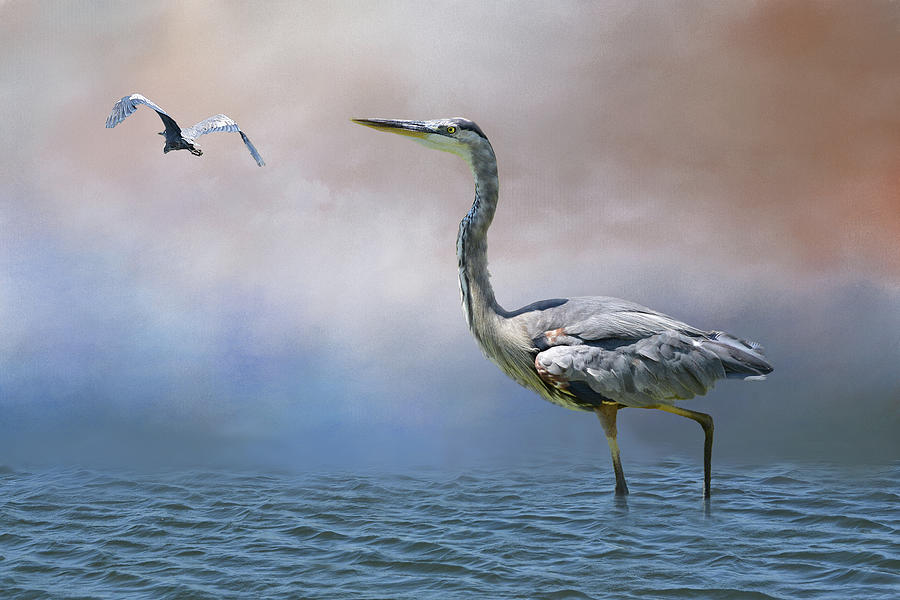 Heron in Water III Digital Art by Linda Brody