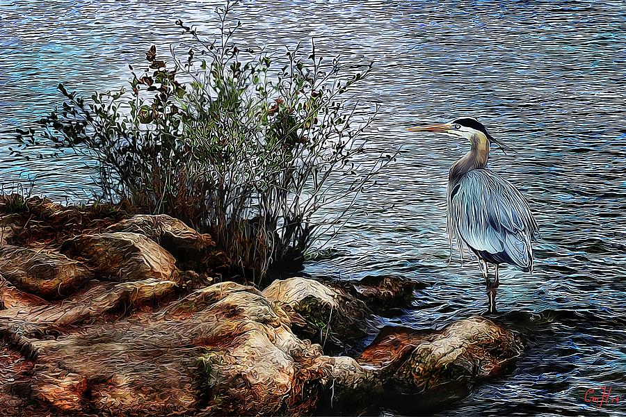 Heron Island by Christina M Hale Heron Island by Christina M Hale