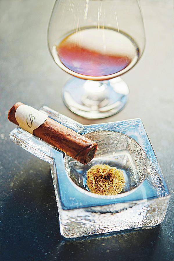 herrengedeck an Oxtail Cigar, Apple And Celery Ash And A Glass Of Essence Photograph by Jalag / Maria Schiffer