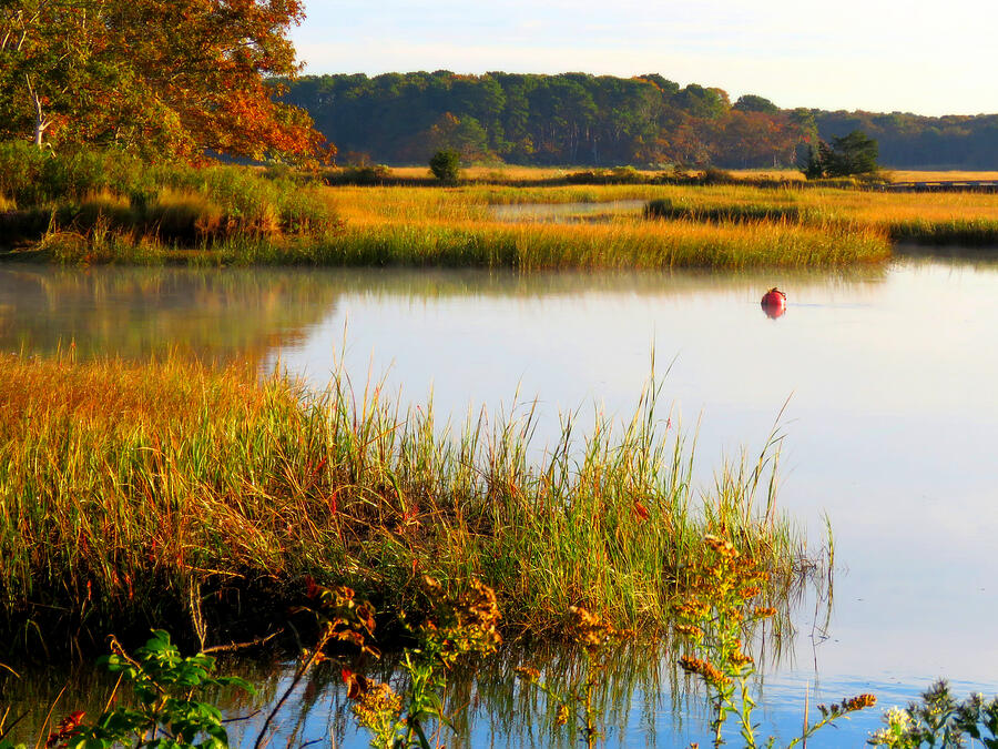 Herring River in Autumn Photograph by Dianne Cowen Photography