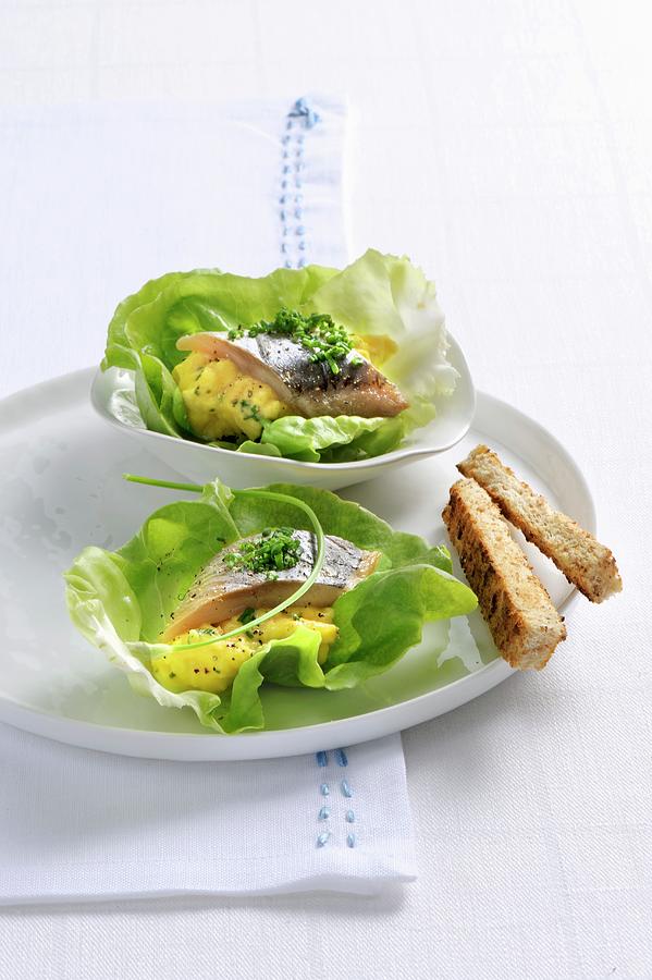 Herring With Scrambled Egg On Lettuce Leaves Photograph by Franco Pizzochero